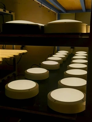 Com la forma circular defineix el rendiment de la llum de la mampara